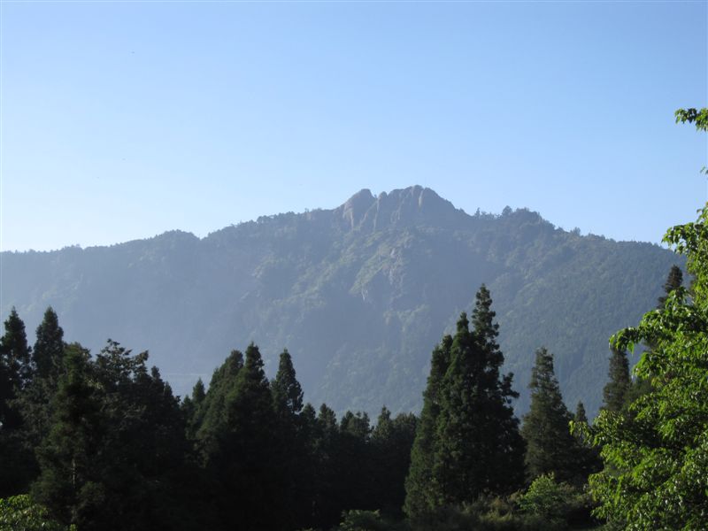 经松山, 眠月神木, 水漾森林的阿丰之旅